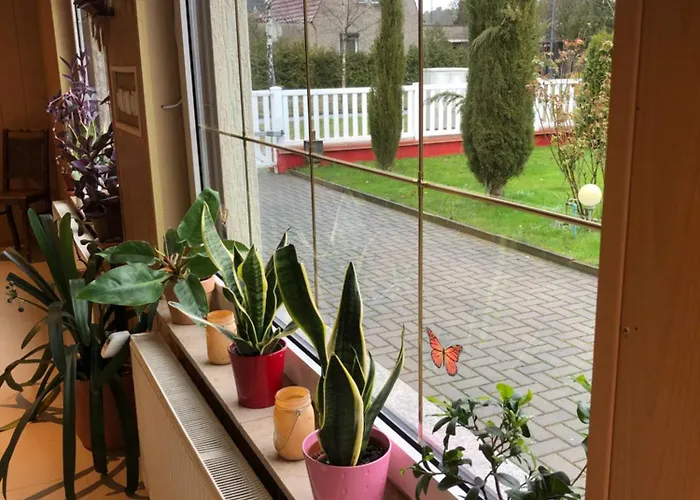 In Wald- Und Seenaehe