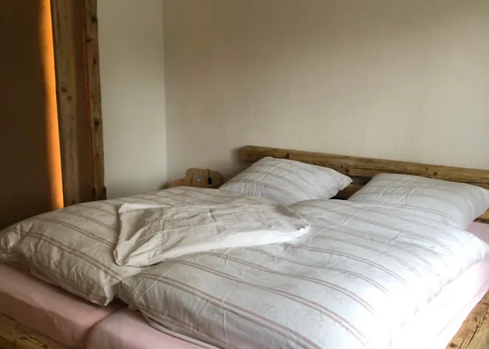 In Wald- Und Seenaehe *